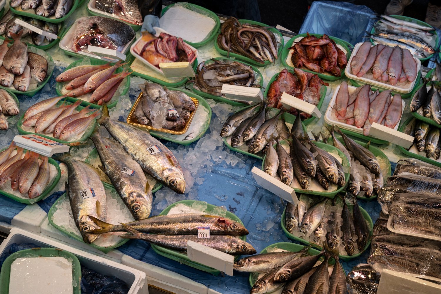 Al Karama Fish Market: A Complete Guide to Fresh Seafood in Dubai